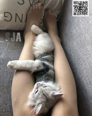 达达兔影视大全免费观看_BD英语在线观看电视